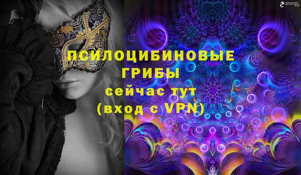 молекула духа Лабытнанги