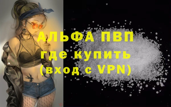 молекула духа Лабытнанги