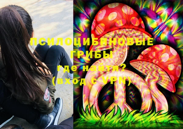 молекула духа Лабытнанги