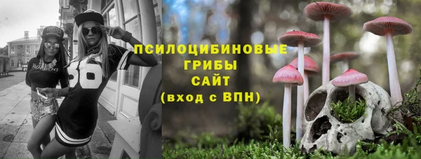 молекула духа Лабытнанги