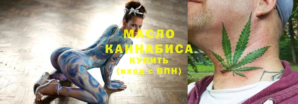 молекула духа Лабытнанги