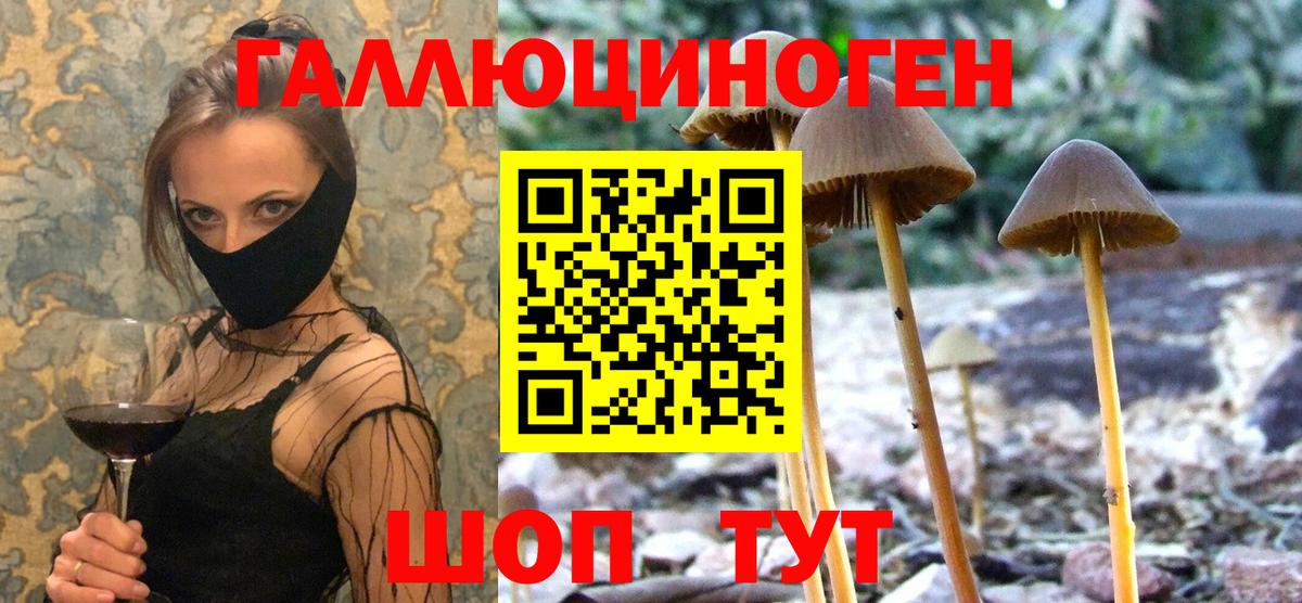 Псилоцибиновые грибы Cubensis Строитель