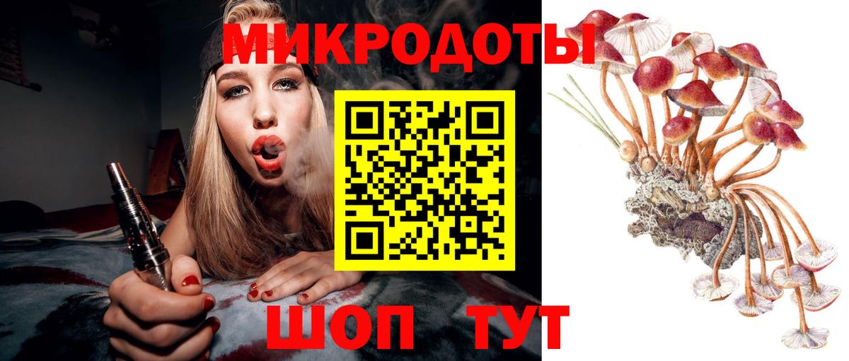 Строитель  Псилоцибиновые грибы Psilocybe  Галлюциногенные грибы Psilocybine cubensis  Вход с VPN 